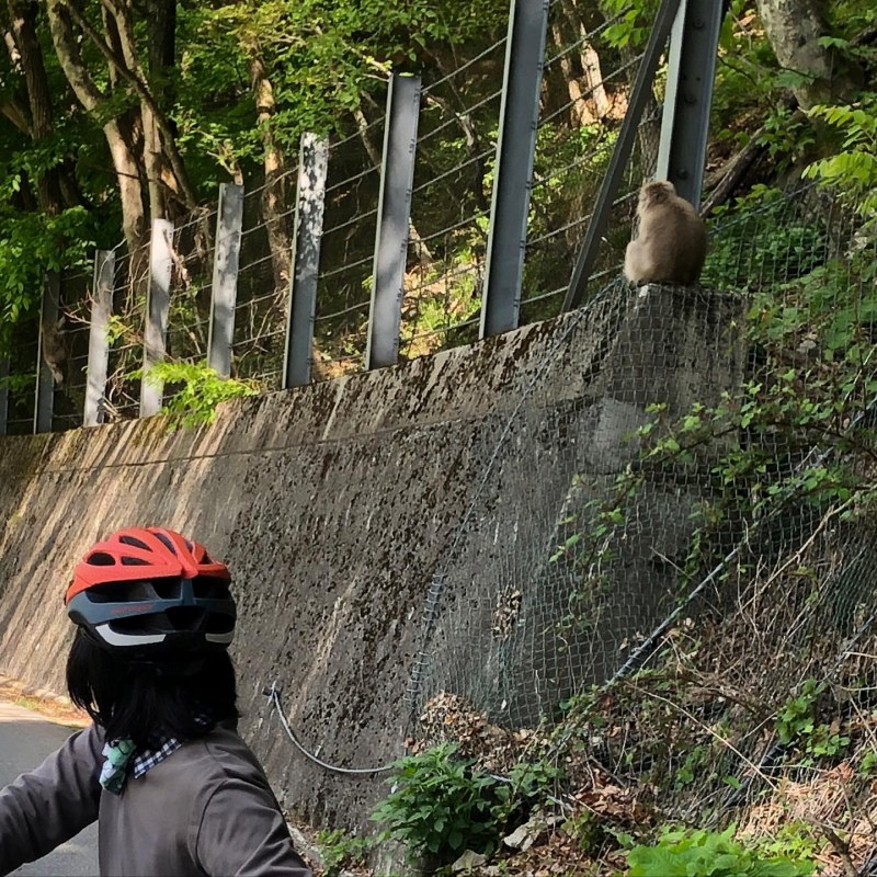 高山村サイクリング