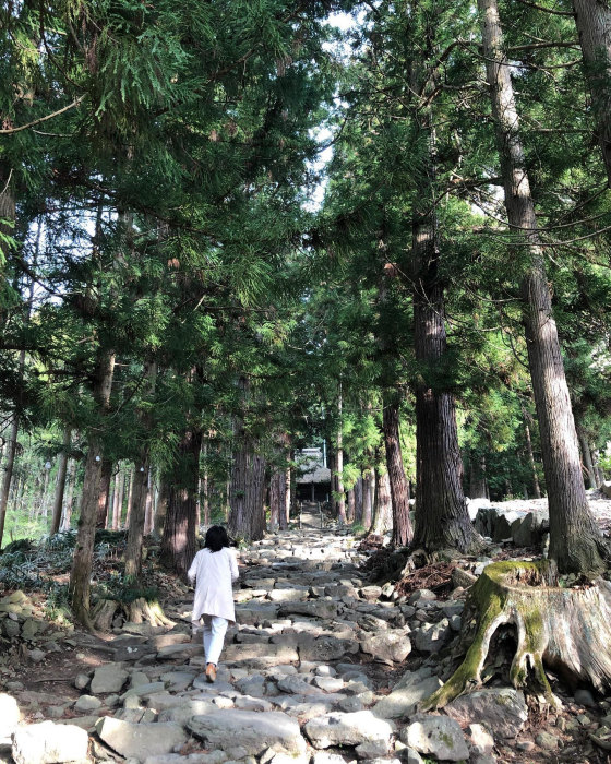 小布施浄光寺の杉並木