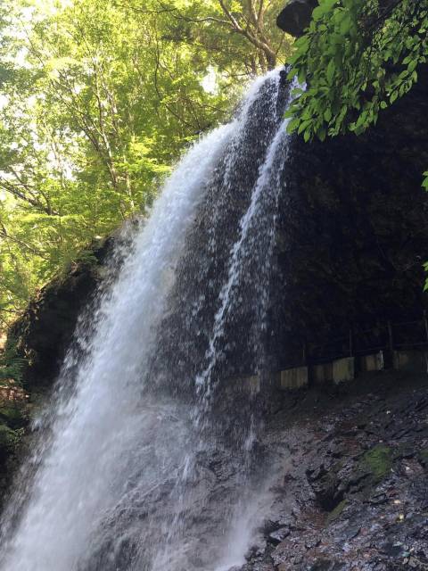 雷滝